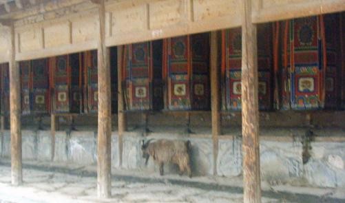 f:id:ekobiiki:20110601231308j:image