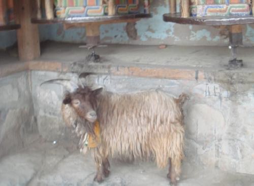 f:id:ekobiiki:20110601232556j:image