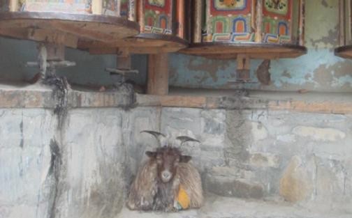 f:id:ekobiiki:20110601232557j:image