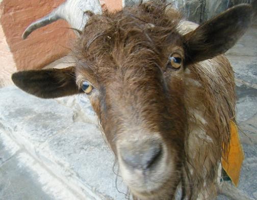 f:id:ekobiiki:20110601234445j:image