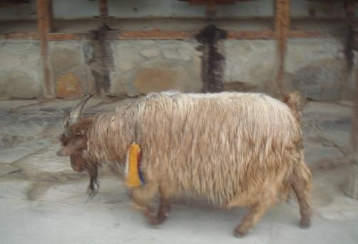 f:id:ekobiiki:20110601234446j:image