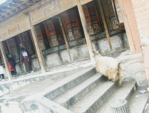 f:id:ekobiiki:20110601235442j:image