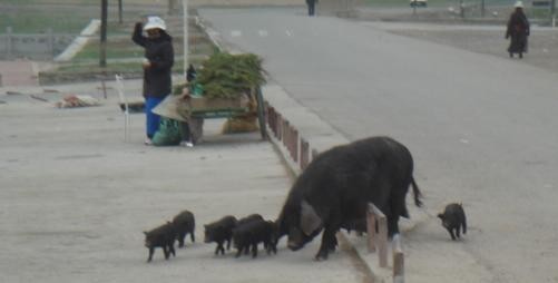 f:id:ekobiiki:20110601235956j:image