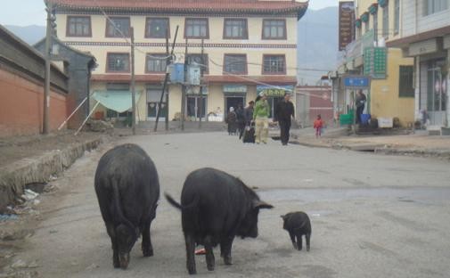 f:id:ekobiiki:20110601235957j:image