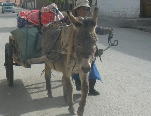 f:id:ekobiiki:20110602001555j:image