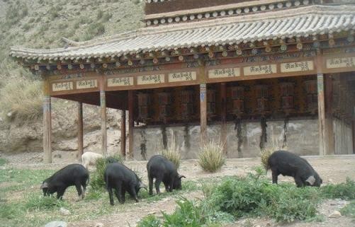 f:id:ekobiiki:20110602003911j:image