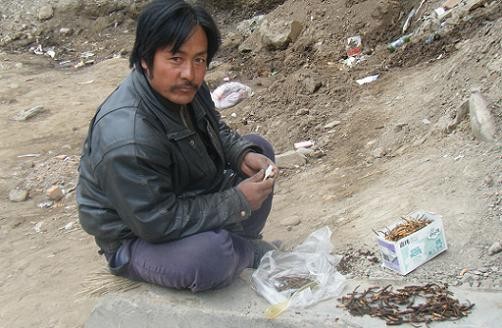 f:id:ekobiiki:20110618094546j:image