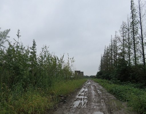 f:id:ekobiiki888:20171012193503j:image