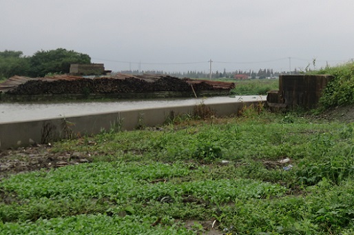 f:id:ekobiiki888:20171013131213j:image