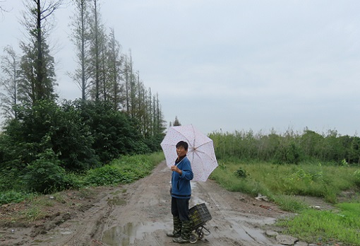 f:id:ekobiiki888:20171014234558j:image