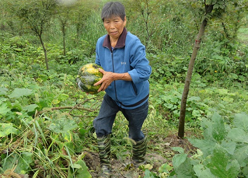 f:id:ekobiiki888:20171014235136j:image