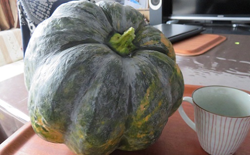 f:id:ekobiiki888:20171014235811j:image