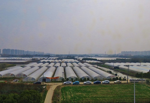 f:id:ekobiiki888:20180314134637j:image