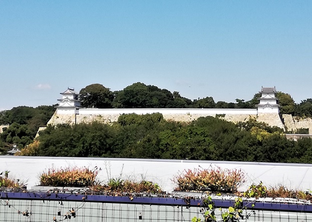 f:id:ekobiiki888:20210114164251j:plain