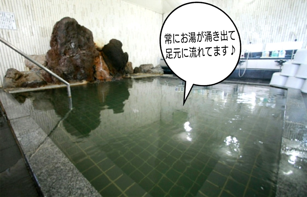 f:id:ekomugi:20190204203807j:plain f:id:ekomugi:20190204203807j:plain