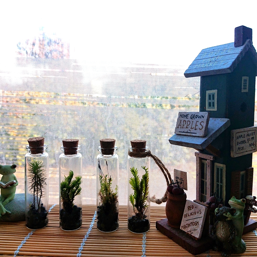 f:id:ekomugi:20190224174549j:plain f:id:ekomugi:20190224174549j:plain