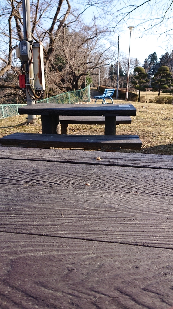 f:id:ekomugi:20190319014318j:plain f:id:ekomugi:20190319014318j:plain