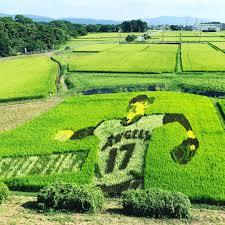 f:id:ekomugi:20190319235256j:plain f:id:ekomugi:20190319235256j:plain