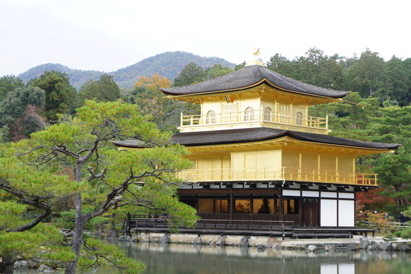 赤ちゃん 京都で旅行デビュー どうだった 子連れで楽しむお出かけブログ