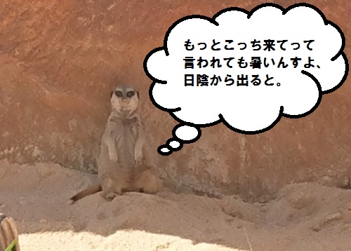 f:id:ekori:20191227213110j:plain