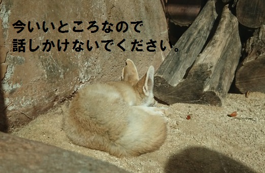 f:id:ekori:20191227214931j:plain