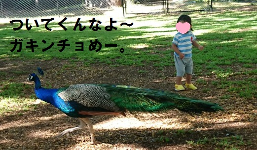 f:id:ekori:20191227214949j:plain