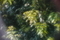 20130929152439