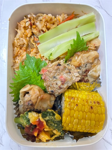 f:id:ekubosmile:20240625193235j:image