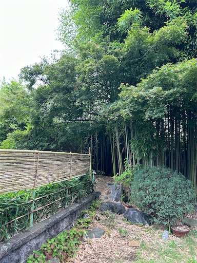 f:id:ekubosmile:20240712112205j:image