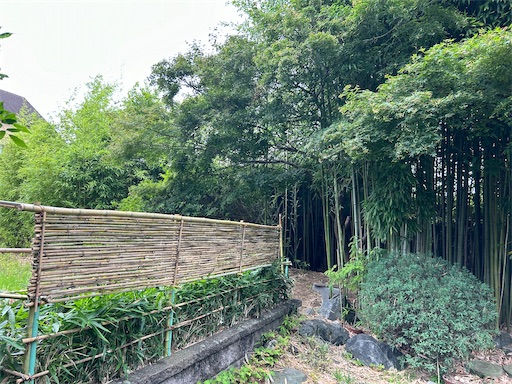 f:id:ekubosmile:20240712112209j:image