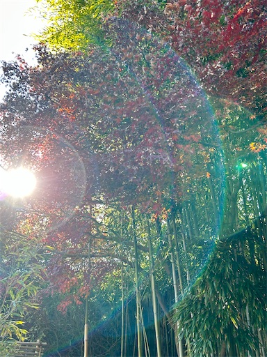 f:id:ekubosmile:20241220081440j:image