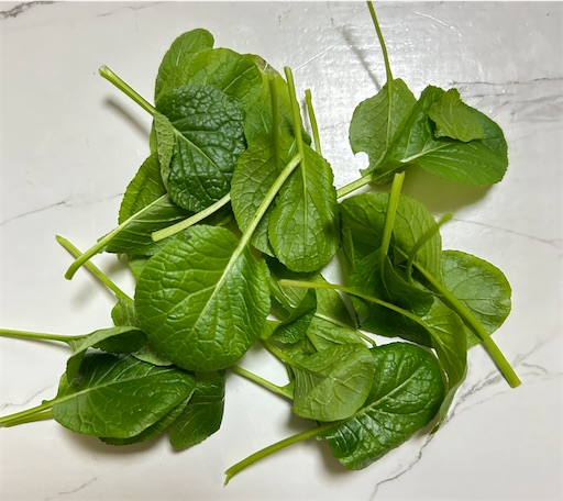 f:id:ekubosmile:20250106145603j:image f:id:ekubosmile:20250106145603j:image