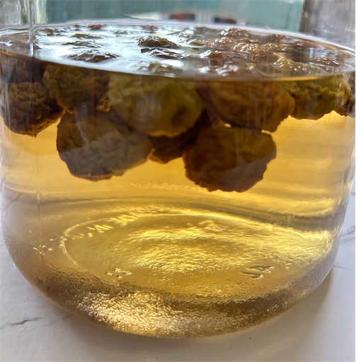 f:id:ekubosmile:20250627194046j:image f:id:ekubosmile:20250627194046j:image