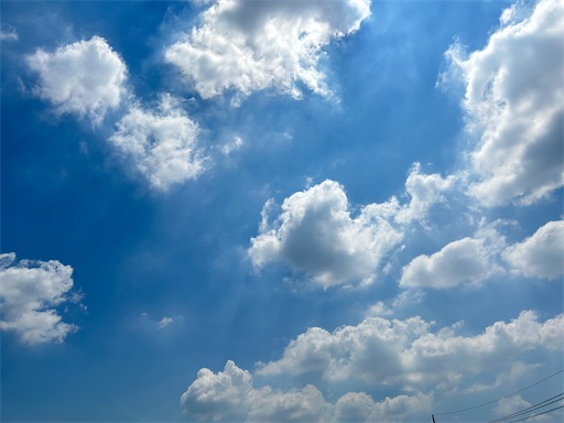 f:id:ekubosmile:20250726110936j:image