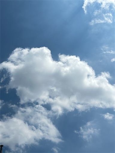 f:id:ekubosmile:20250803190526j:image f:id:ekubosmile:20250803190526j:image