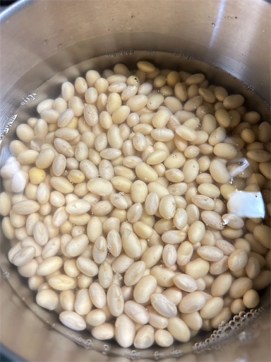 f:id:ekubosmile:20250803190529j:image f:id:ekubosmile:20250803190529j:image