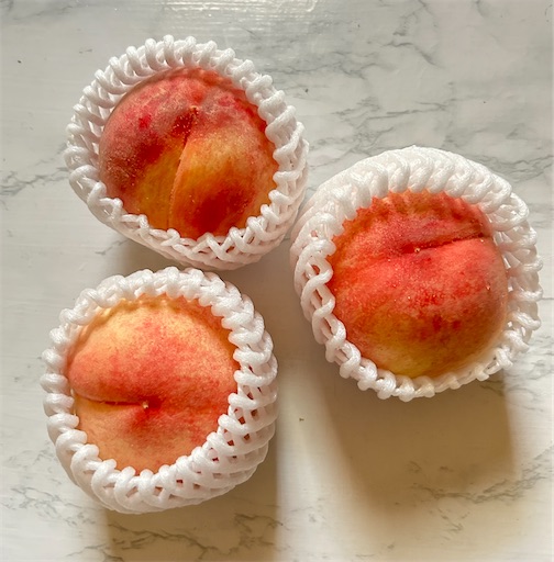 f:id:ekubosmile:20250804103820j:image f:id:ekubosmile:20250804103820j:image