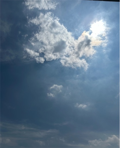 f:id:ekubosmile:20250804103822j:image f:id:ekubosmile:20250804103822j:image