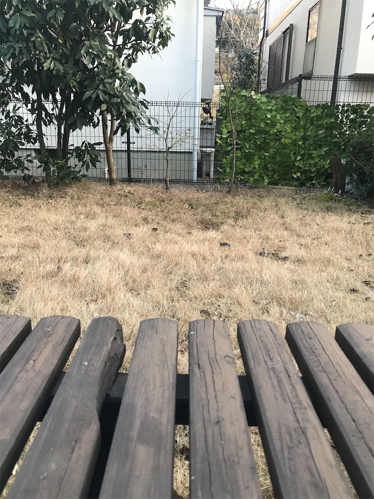 f:id:ekurosawa:20230217165715j:image f:id:ekurosawa:20230217165715j:image