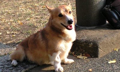 f:id:ekuseidcharge:20071212143235j:image
