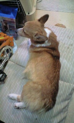 f:id:ekuseidcharge:20080107163959j:image