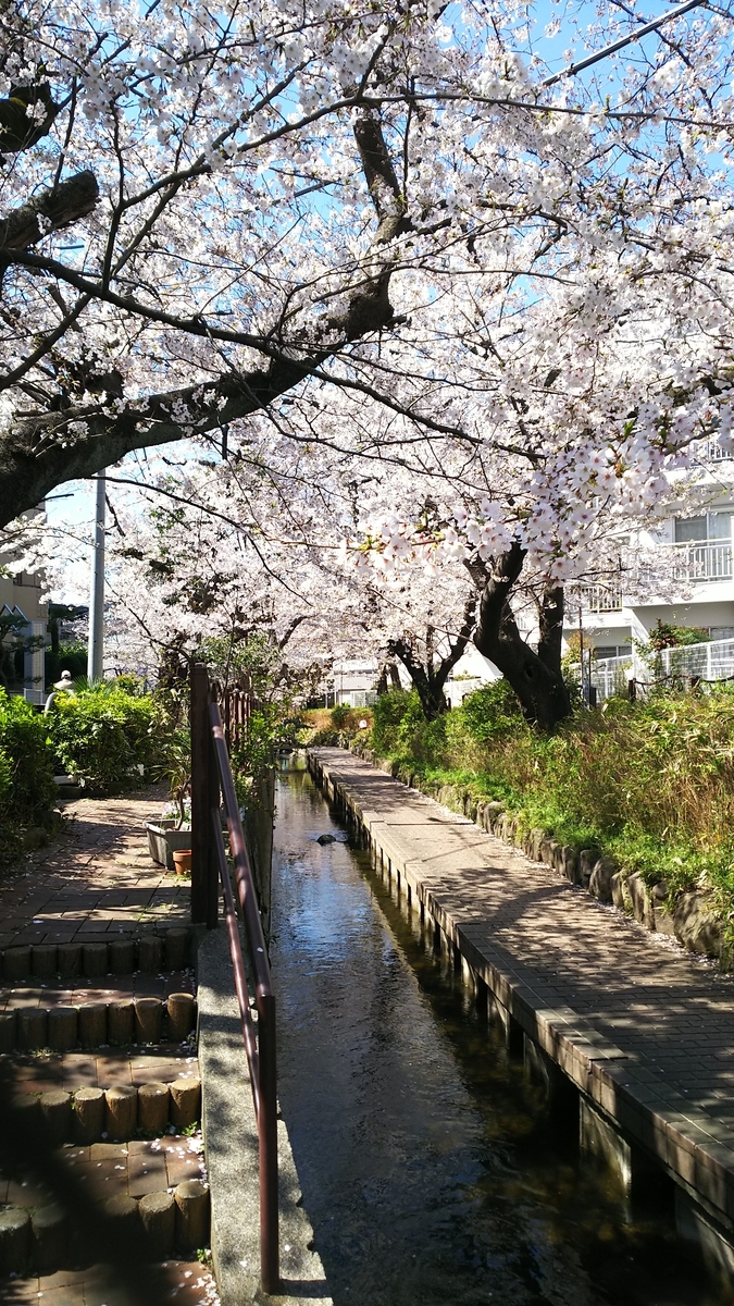 f:id:ekutajp:20190402223412j:plain