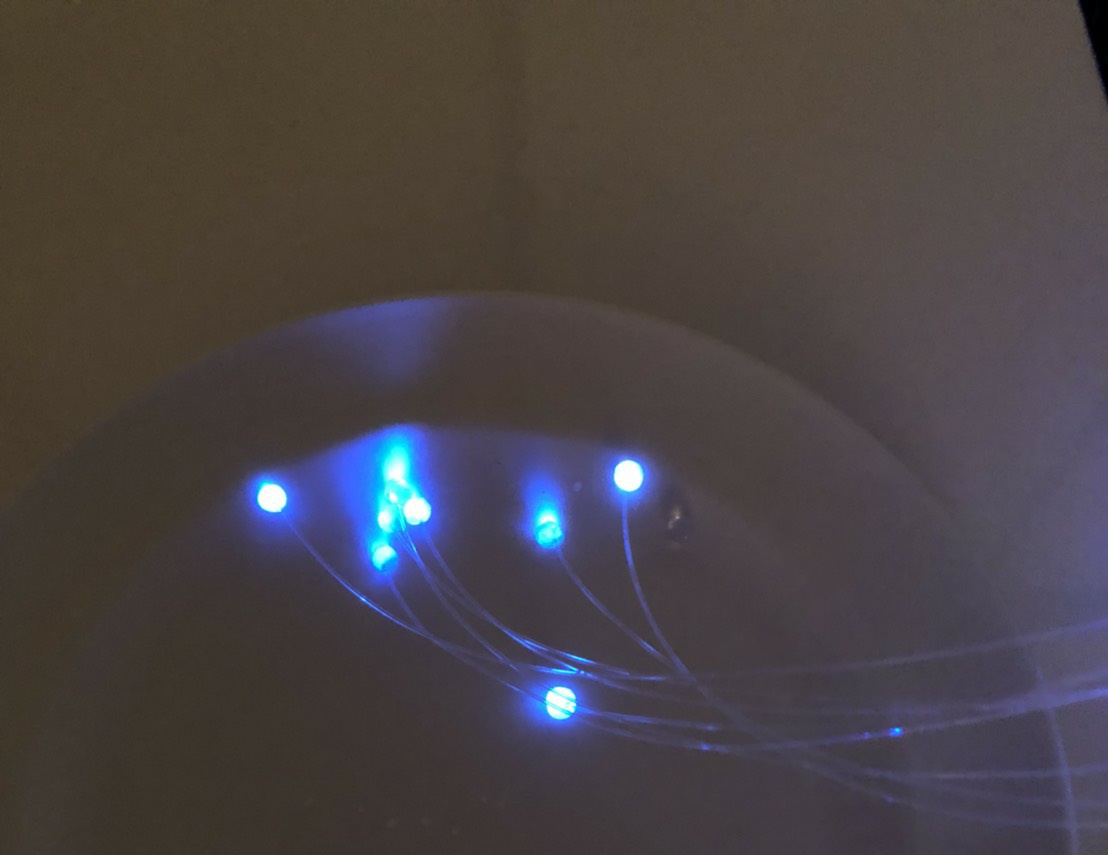 f:id:el_girasol:20191110085237j:plain