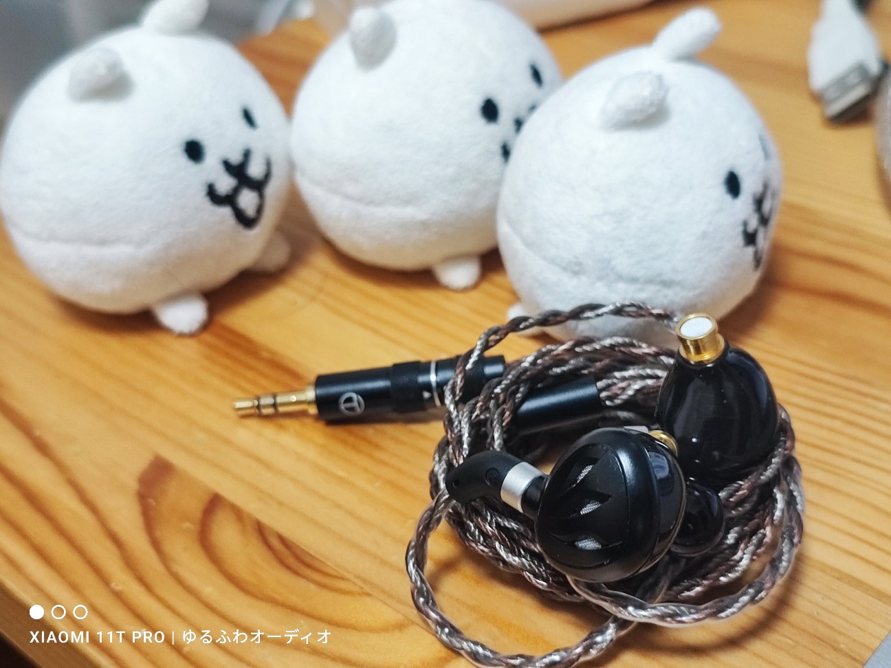 レビュー：TRN Rosefinch 朱雀 平面駆動イヤホン 結論：格安で高域が