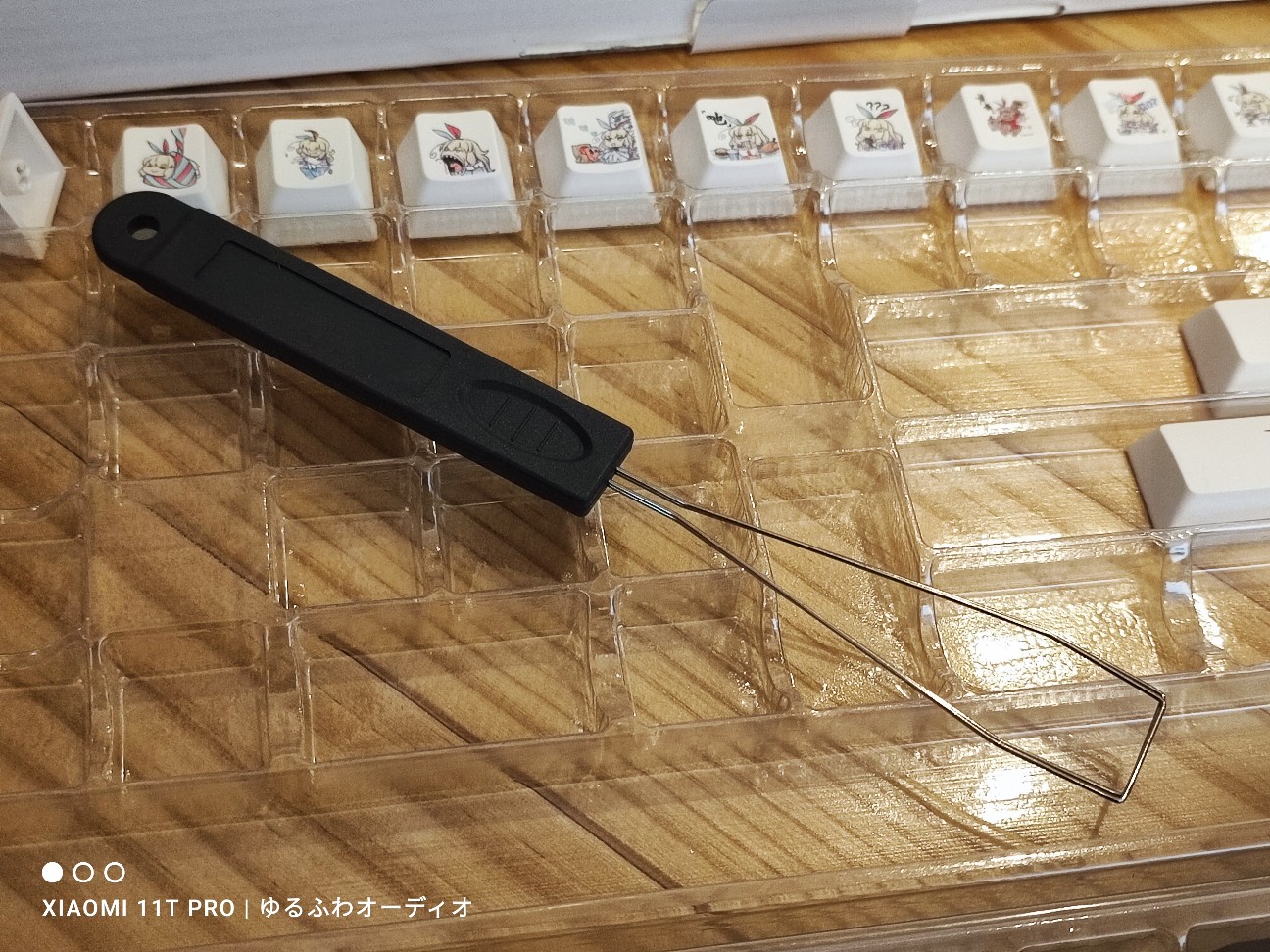 レビュー？：Z Review Rinko Touch Cherry Profile Keycaps Set