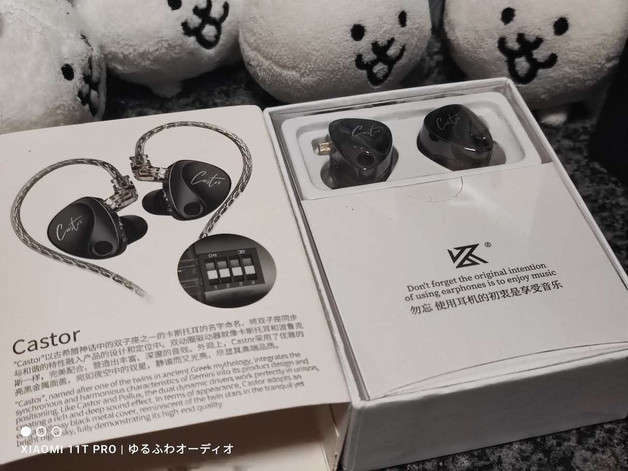 ファーストインプレ：KZ CASTOR Harman Target with Improved Bass標準