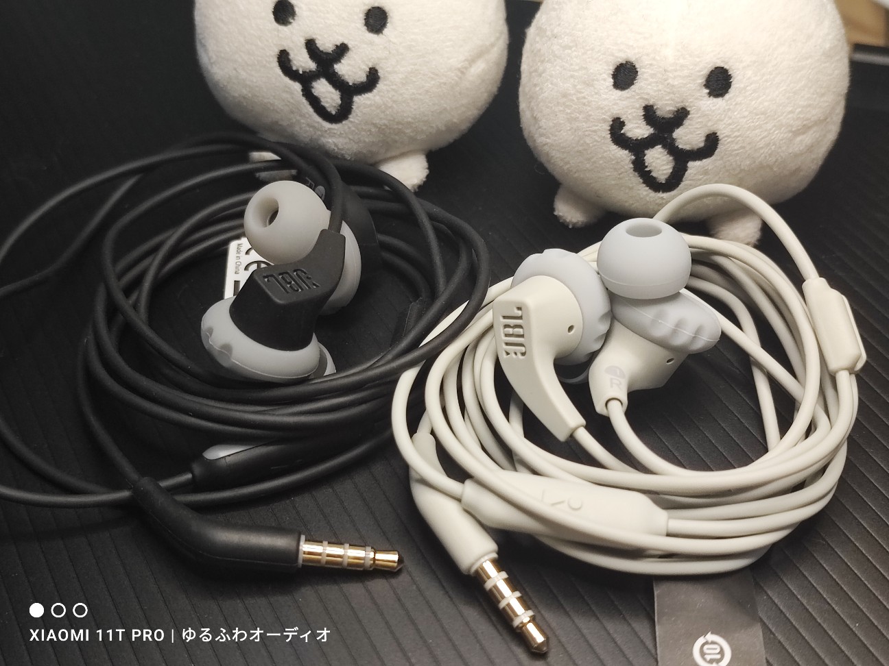 ファーストインプレッション：JBL ENDUDANCERUN2 A2K 雑に使えて音が