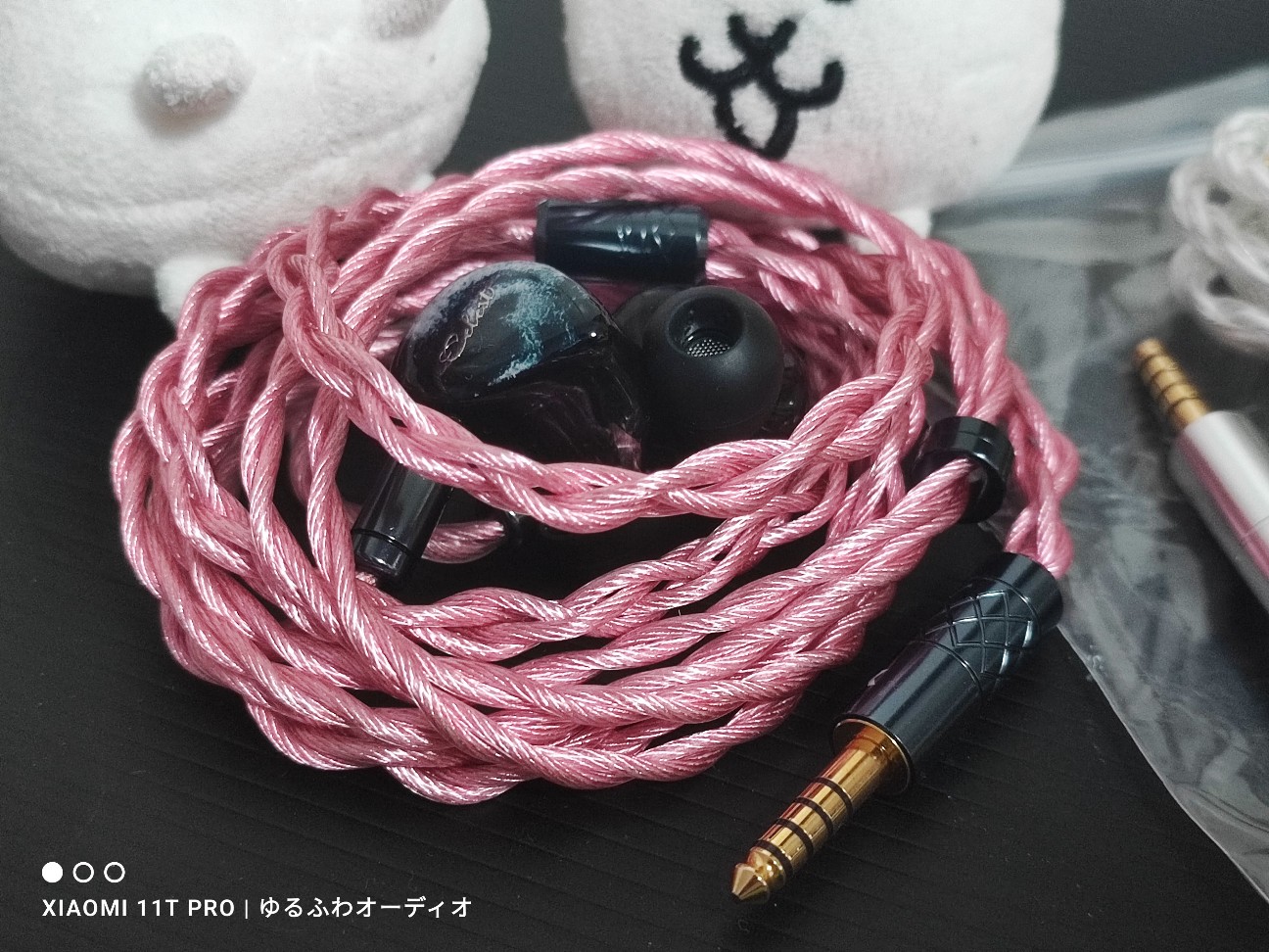 kinera Celest relentless リケーブル可能イヤホン インプレ：『Kinera Celest Relentless』王道ドンシャリ