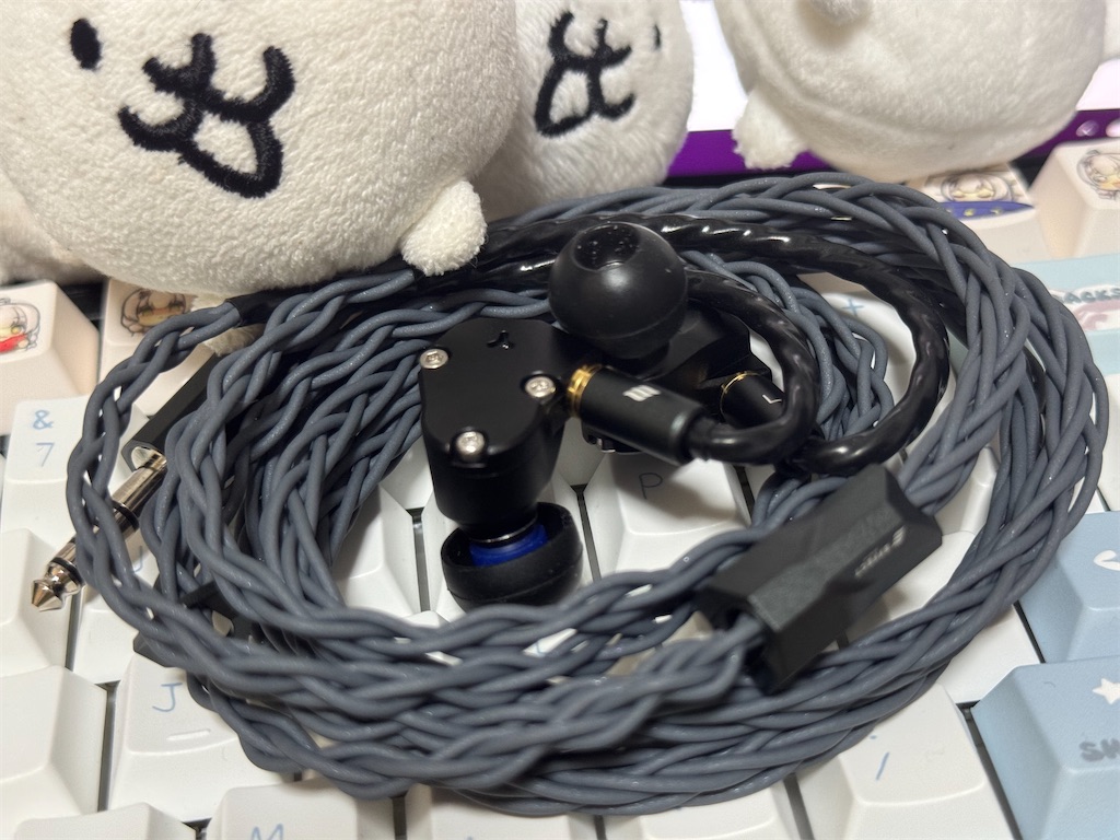 雑レビュー：A5K 『TinHiFi C2 2025 mic』 A3Kリファレンス機の一角と