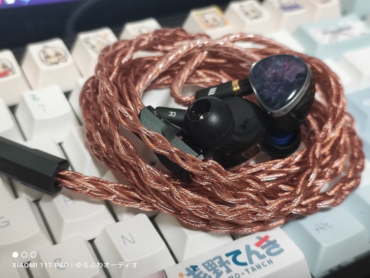 雑レビュー：179＄ 『 NICEHCK NX8 』 小宇宙が詰まったボーカル表現